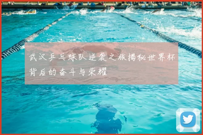 武汉乒乓球队逆袭之旅揭秘世界杯背后的奋斗与荣耀