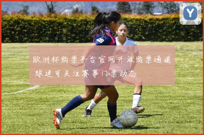 欧洲杯购票平台官网开放购票通道 球迷可关注赛事门票动态