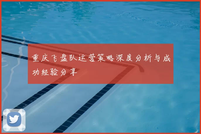 重庆飞盘队运营策略深度分析与成功经验分享