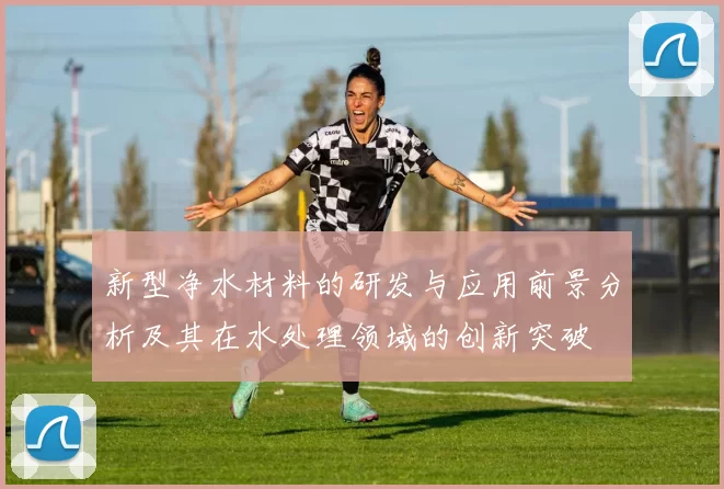新型净水材料的研发与应用前景分析及其在水处理领域的创新突破