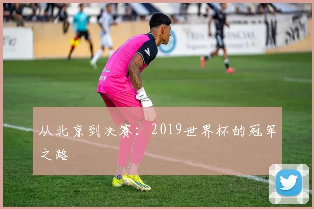 从北京到决赛:2019世界杯的冠军之路