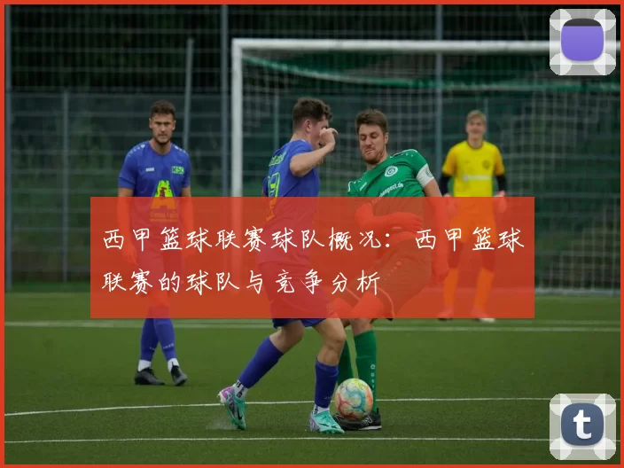 西甲篮球联赛球队概况：西甲篮球联赛的球队与竞争分析