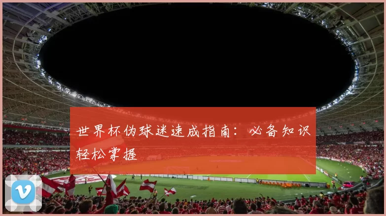 世界杯伪球迷速成指南:必备知识轻松掌握