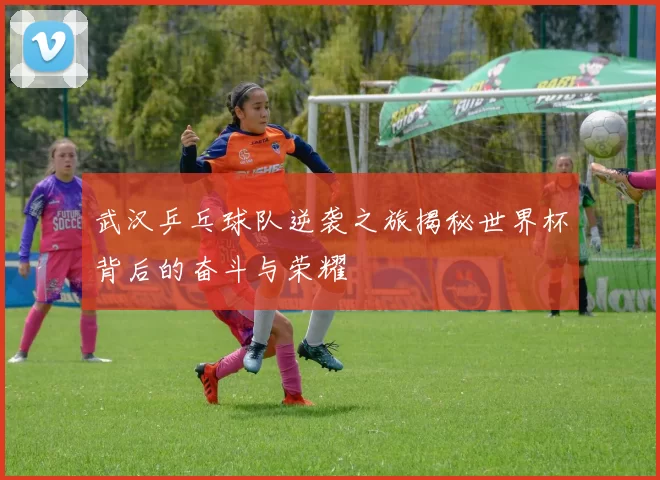 武汉乒乓球队逆袭之旅揭秘世界杯背后的奋斗与荣耀