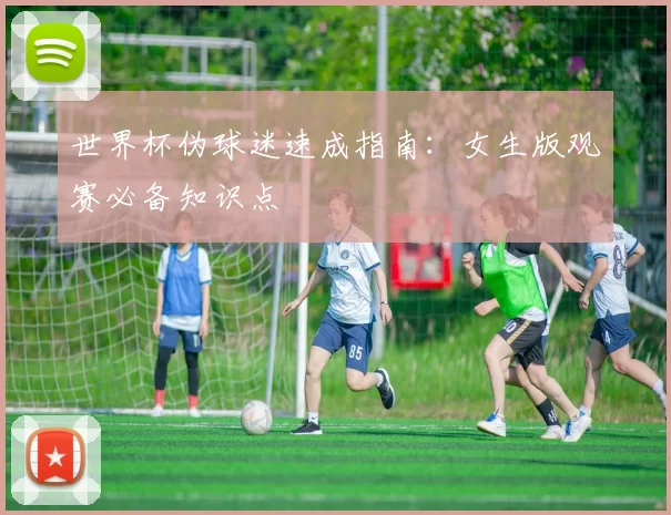 世界杯伪球迷速成指南:女生版观赛必备知识点
