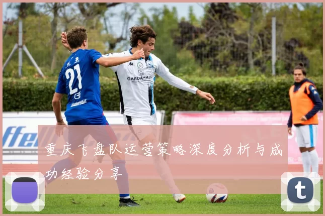 重庆飞盘队运营策略深度分析与成功经验分享