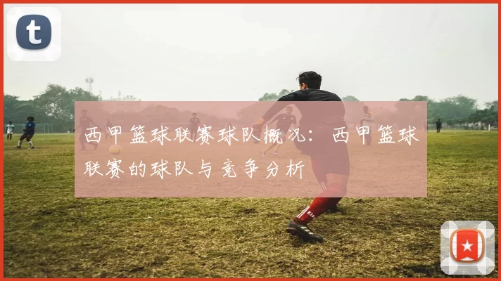 西甲篮球联赛球队概况：西甲篮球联赛的球队与竞争分析
