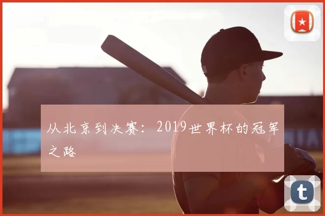 从北京到决赛:2019世界杯的冠军之路