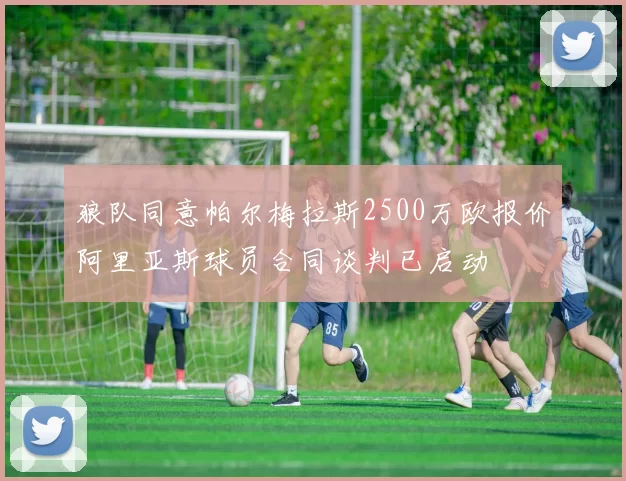 狼队同意帕尔梅拉斯2500万欧报价阿里亚斯球员合同谈判已启动