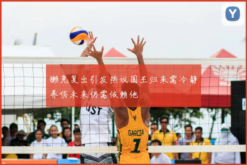 獭兔复出引发热议国王归来需冷静养伤未来仍需依赖他