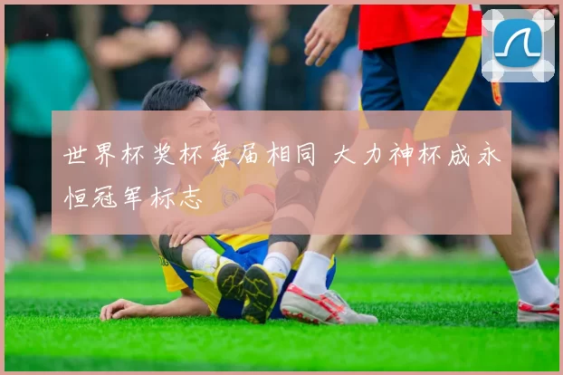 世界杯奖杯每届相同 大力神杯成永恒冠军标志