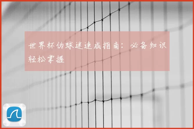 世界杯伪球迷速成指南:必备知识轻松掌握